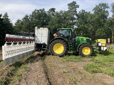 Elektrophysikalische Krautminderung in Kartoffeln
