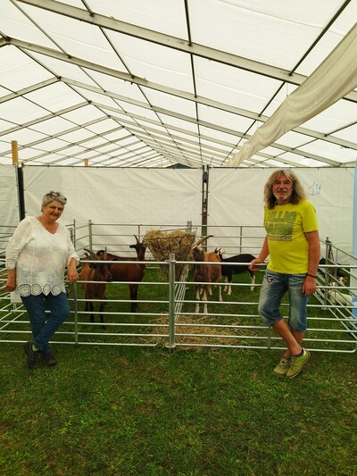 Die Züchter des Landesverbandes Niedersächsischer Ziegenzüchter waren u.a. mit ihren Ziegen im Tierzelt vertreten - © Elke Steinbach Die Züchter des Landesverbandes Niedersächsischer Ziegenzüchter waren u.a. mit ihren Ziegen im Tierzelt vertreten