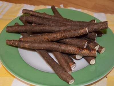 Schwarzwurzeln - © Gudrun Göppert Schwarzwurzeln