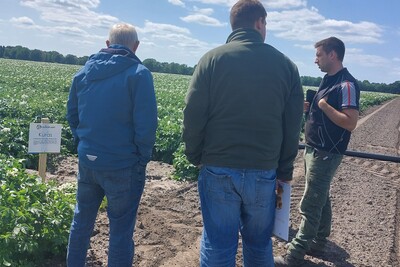 Das Arbeitsprojekt wird besichtigt.