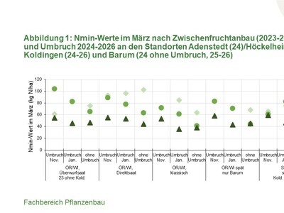 Abbildung 1: Nmin-Werte im März 2024-2026 nach Zwischenfruchtanbau mit verschiedenen Umbruchterminen - © Annette Hoffmann Abbildung 1: Nmin-Werte im März 2024-2026 nach Zwischenfruchtanbau mit verschiedenen Umbruchterminen