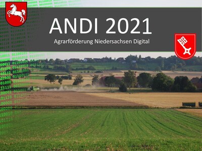 2021_Andi