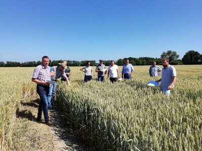 Arbeitskreis Nebenserwerbslandwirte