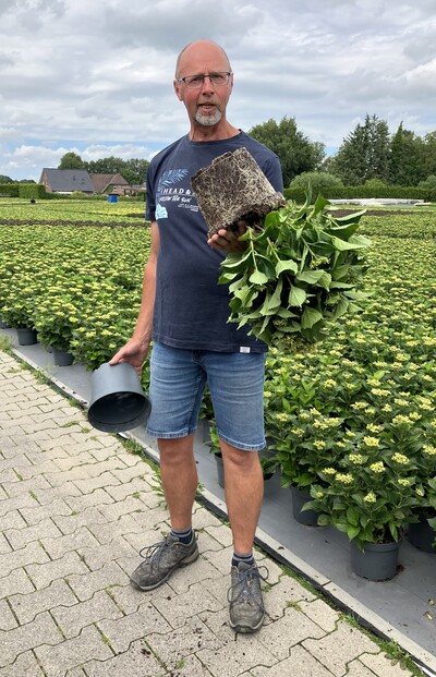 Herr Henken - Kulturleiter von Freese Gartenbau - © Felix Bouquet Herr Henken - Kulturleiter von Freese Gartenbau