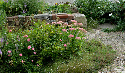 Wildstaudenbeet - © Barbara Fisahn / Wildstauden Gärtnerei Wildstaudenbeet_1