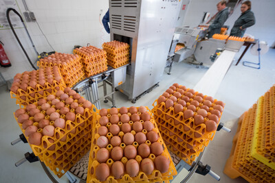 Legehennen-Hof von Marita und Jens Wemken in Wiefelstede (Kreis Ammerland).