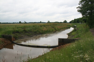 Feldbegang WRRL_Vechtaer Moorbach_Juni2015