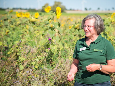 LWK-Biodiversitätsberaterin Martina Diehl erläutert die Zusammensetzung einer Fläche speziell für den Rebhuhnschutz bei Wolfenbüttel-Leinde. - © Wolfgang Ehrecke LWK-Biodiversitätsberaterin Martina Diehl erläutert die Zusammensetzung einer Fläche speziell für den Rebhuhnschutz bei Wolfenbüttel-Leinde.