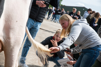 Tierbeurteilungswettbewerb 16-06-2026 auf dem Hof M&uuml;ller in Aurich-Rahe