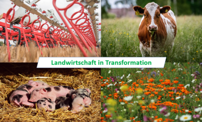 Landwirtschaft in Transformation - © MabelAmber / pixabay.com, BorgMattisson / pixabay.com, Caniceus /pixabay.com, Wolfgang Ehrecke / LWK Niedersachsen, bearbeitet durch: Christina Lüllmann /LWK Niedersachsen Landwirtschaft in Transformation