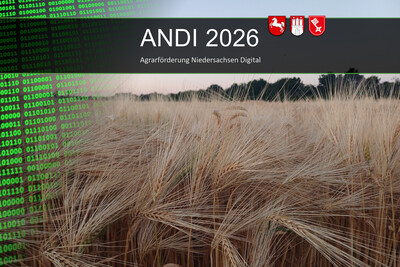 ANDI 2026