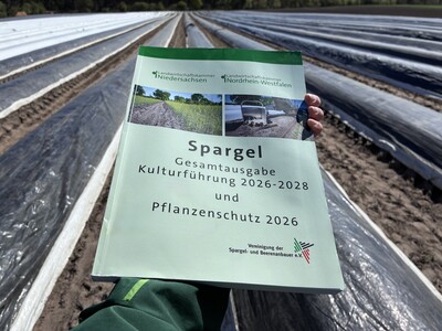 Spargelbrosch&uuml;re 2026