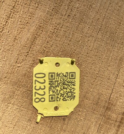Die Submission in Osnabr&uuml;ck wird digital: &Uuml;ber einen QR-Code an der Stirnfl&auml;che lassen sich direkt alle Infos zum jeweiligen Stamm aufrufen.