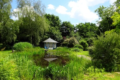 Wasser im Garten - unverzichtbares Gestaltungselement