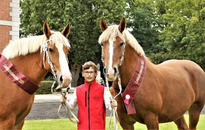 Siegerstute und Reservesieger - © Marianne Schwöbel Siegerstute und Reservesieger