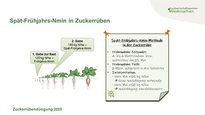 Spät-Frühjahrs-Nmin-Methode in Zuckerrüben - © Caroline Benecke Spät-Frühjahrs-Nmin-Methode in Zuckerrüben