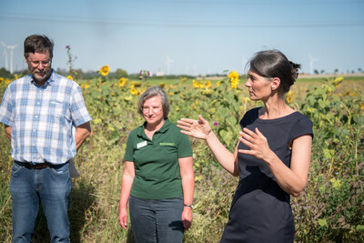 Landwirt Matthias Johns, LWK-Biodiversitätsberaterin Martina Diehl und Agrarministerin Miriam Staudte (v.l.) auf einer Fläche speziell für den Rebhuhnschutz bei Wolfenbüttel-Leinde. - © Wolfgang Ehrecke Landwirt Matthias Johns, LWK-Biodiversitätsberaterin Martina Diehl und Agrarministerin Miriam Staudte (v.l.) auf einer Fläche speziell für den Rebhuhnschutz bei Wolfenbüttel-Leinde.