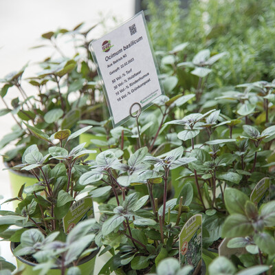 Abschlussveranstaltung f&uuml;r das Projekt 'TerZ - Einsatz torfreduzierter Substrate im Zierpflanzenbau' am 23.03.2023 in Hannover-Ahlem.