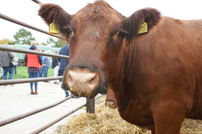 Staatsehrenpreis Albrecht, Golmbach 2022