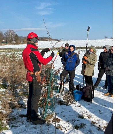 Feldtag Geh&ouml;lzschnitt im Agroforst