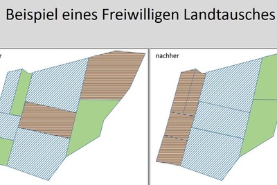 FLT