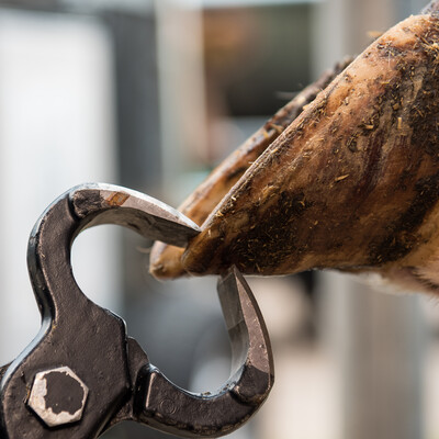 Klauenpflege bei Rindern ist elementar für die Gesundheit der Tiere und gehört zu den wichtigsten Faktoren eines erfolgreichen, tierwohlorientierten Herdenmanagements. - © Wolfgang Ehrecke Klauenpflege