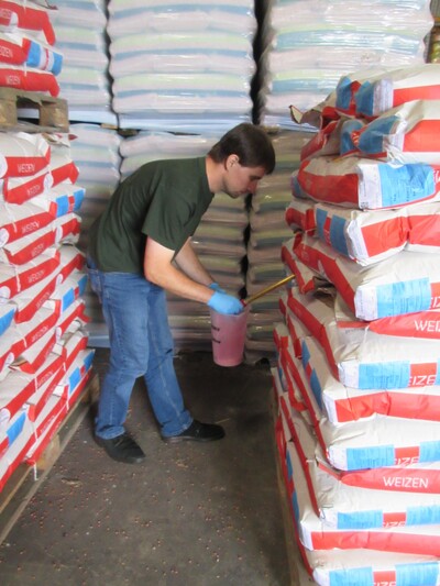 Repr&auml;sentative Probenahme einer Saatgutpartie