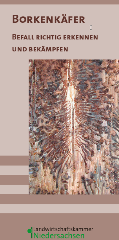 Borkenkäfer Flyer - © Diana Jacobi Borkenkäfer Flyer