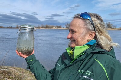 Aalbesatzaktion 2026