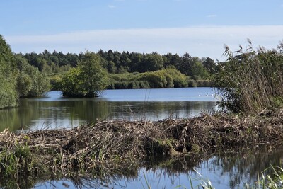 Aschauteiche - © Dr. Jürgen Grocholl Aschauteiche