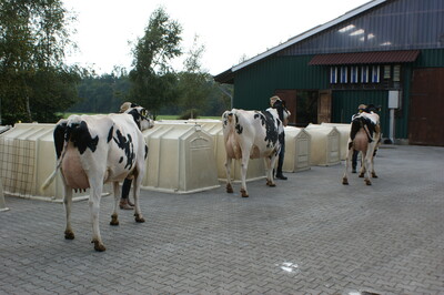 Verleihung des Staatsehrenpreises an den Betrieb Kleemann, Lütetsburg