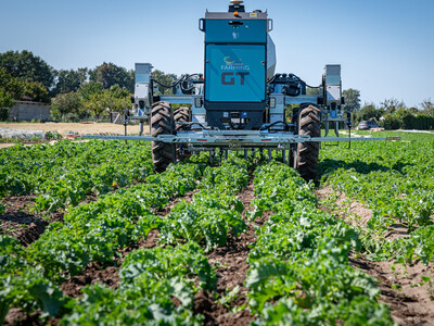 Vorstellung des autonomen Hackroboters Farming GT in einem Gr&uuml;nkohl-Bestand beim 5. Feldtag Gem&uuml;sebau am 13.08.2026 auf den Fl&auml;chen von Hof Krull in Burgdorf/Otze.