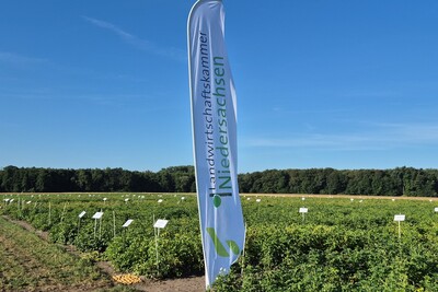 Kartoffeltag 2026 - © Lüder Cordes Kartoffeltag 2026