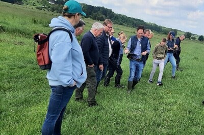 Exkursion Artenreiches Grünland - © Sophie Altevogt Exkursion Artenreiches Grünland