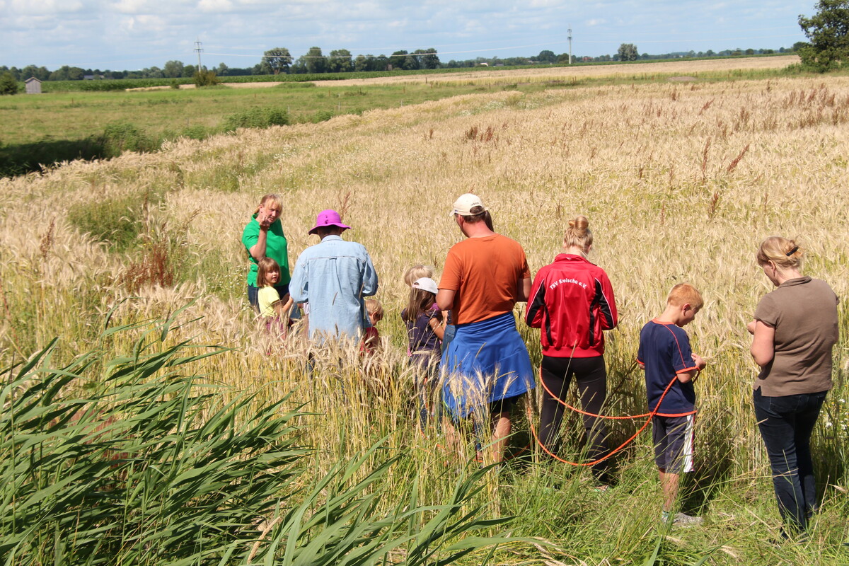 Eingriffsregelung Ausgleich und Ersatz beim Bauen im Außenbereich Landwirtschaftskammer