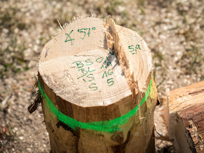 Finale des Berufswettbewerbs der deutschen Landjugend am 21.06.2023 im Landwirtschaftlichen Bildungszentrum in Echem.