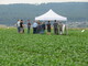 Feldtag im Juni 2023 bei Böbber - © Annette Hoffmann Feldtag im Juni 2023 bei Böbber