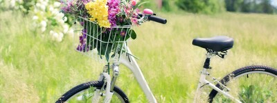 Mit dem Fahrrad auf dem Land