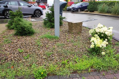 ungepflegter Schotterg&auml;rten