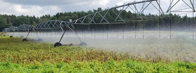 Beregnungsanlage auf einem Kartoffelacker