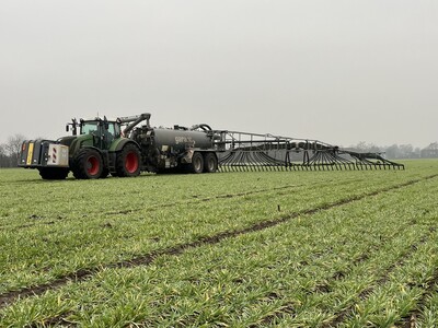 G&uuml;lleans&auml;uerung in der Praxis