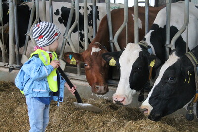 Kind beim Futter ranschieben - © Anne Zetl Kind beim Futter ranschieben