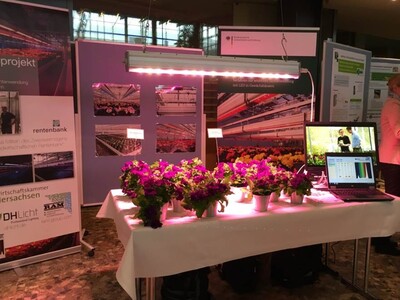 Das Projekt ViSuELL präsentiert erste Versuchsergebnisse auf den Innovationstagen 2016 in Bonn.