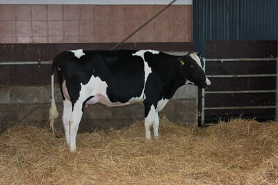 Staatsehrenpreis Hanne-Sustrath GbR 2018 - © LWK Niedersachsen Staatsehrenpreis Hanne-Sustrath GbR 2018