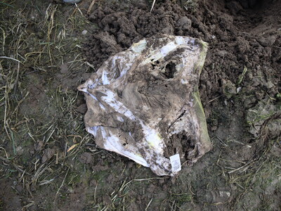 Hose, Ergebnis - © LWK Niedersachsen Hose, Ergebnis