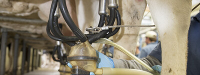 - © Fotograf Andreas Tamme Ausbildung Herdenmanager Echem