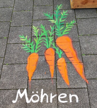 M&ouml;hren