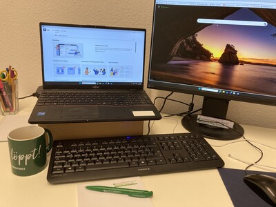 Online-Schulung - © Henrike Weddelmann Online-Schulung