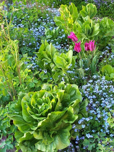 - © Almut Eilers Gartenmomente