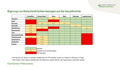 Eignung der Zwischenfrüchte in Bezug auf die Hauptfrüchte - © Annette Hoffmann Eignung der Zwischenfrüchte in Bezug auf die Hauptfrüchte
